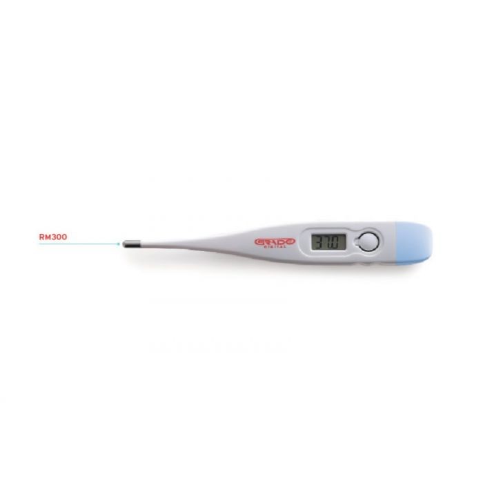 Termometru digital RM300